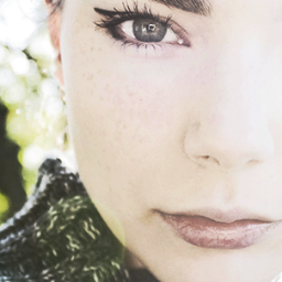 nihil_novil's profile picture.
