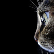 sansuu3's profile picture. 開放からシャープ / UI・UX Design / SIerでのDesign / HCD-Net認定人間中心設計専門家 / 2児のおっさん