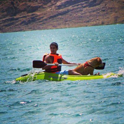 marcecalile's profile picture. CONTADOR PÚBLICO - CALILE & ASOCIADOS_Consultores de Empresas


San Martín 🇵🇪🇵🇪🇵🇪 Mendoza, Arg 🇦🇷