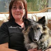 All For Dogs (@allfordogsderby) 's Twitter Profile