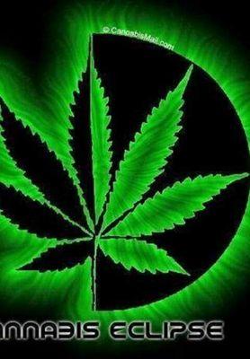 andre183698's profile picture. 