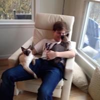 Andy Timm (@andy_timm) 's Twitter Profile