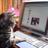 猫にゃん出会い大切のアイコン
