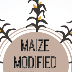 MaizeModified's profile picture. Oh shucks! We maize share our corny news. Genetically Modified Maize is everywhere and we just want both sides of the debate heard.