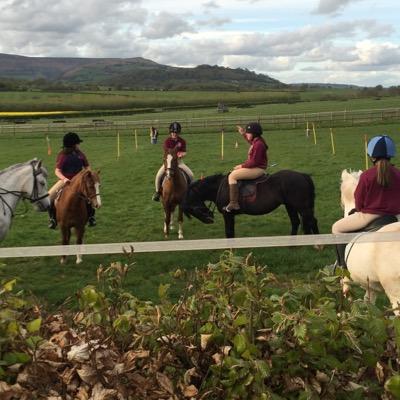 Trileyfields Pony Club Centre, equine stars in the making!

Email
trileyponyclubcentre@hotmail.com