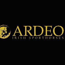 Ardeo Sport Horses sources, produces and sells sport horses of all levels and ages for the dressage, show jumping and eventing markets.