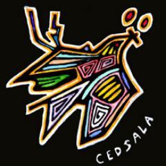 CEDSALA Profile Picture