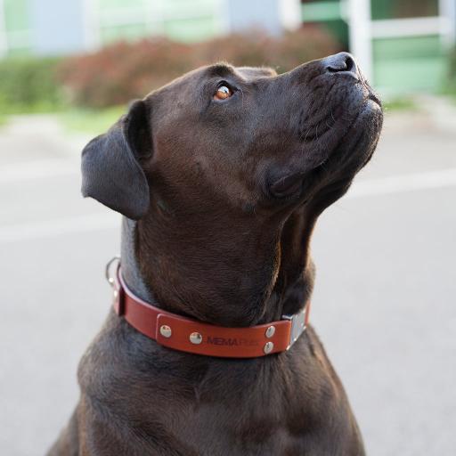 We #design and #develop #highquality #petproducts http://t.co/9FH0xw2D18