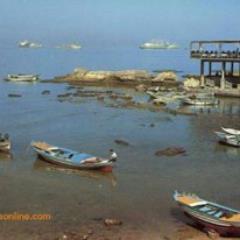 halloumhalloum's profile picture. 