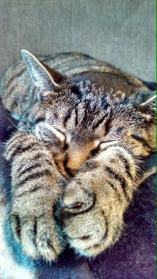 hawkcheer8504's profile picture. 