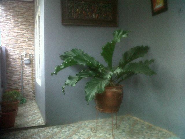 Ratnakumala65's profile picture. 