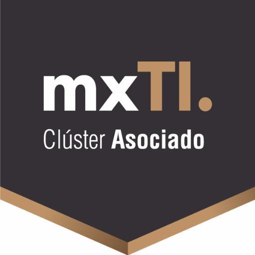 Clúster de TI de la Ciudad de México: Impulsando el sector de TI apoyando empresas locales. Fortaleciendo vínculos con los actores principales del sector de TI.