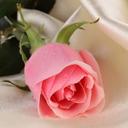 Ghadah (@11Ghadah2) Twitter