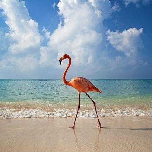 lovelymovely1's profile picture. 