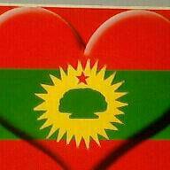 khdmat41's profile picture. 