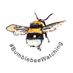#BumblebeeWatching (@bumble_watching) Twitter profile photo
