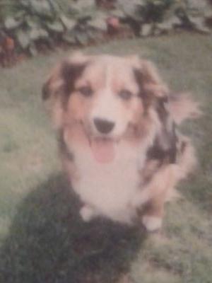 shaunabaggallay's profile picture. 