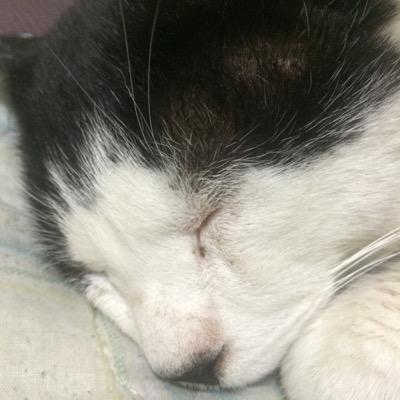 hYjejQJeNZZaMwt's profile picture. 主に仮想通貨、ライター。株式投資もやっています。 https://t.co/K5q0j6uf0s…