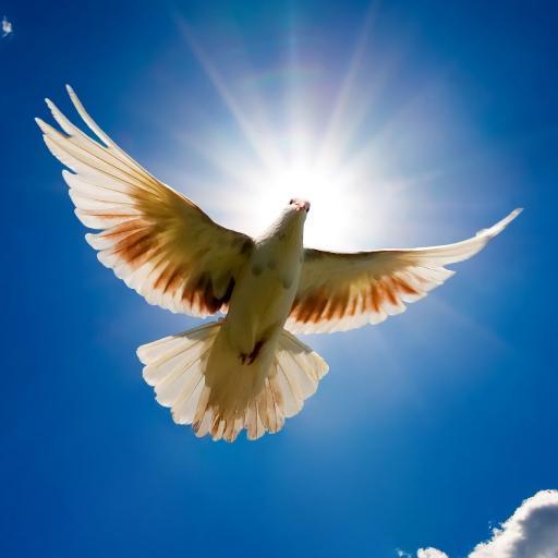 muhar_altun's profile picture. 