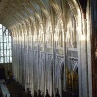 WinCathFriends (@wincathfriends) 's Twitter Profile Photo