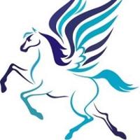 Flying Changes (@flyingchanges1) 's Twitter Profile