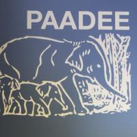 PaaDee (@paadeepdx) 's Twitter Profile