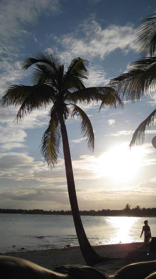 coconutshell's profile picture. 