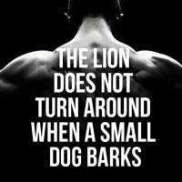 Motivation=Ambition (@morivationa) 's Twitter Profile