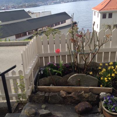 hansen_turid's profile picture. 