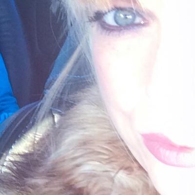 jillybowie's profile picture. Former English Teacher.