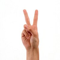ぱるむ (@palmread) 's Twitter Profile