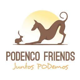 A sanctuary for the abandoned podencos of Spain #juntosPODemos