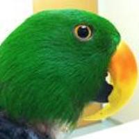 Debbie Welchert (@flipper211) 's Twitter Profile