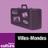 VillesMondes
