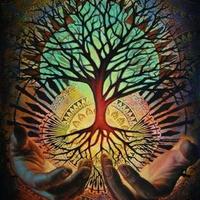 TaalkingTrees (@taalkingtrees) 's Twitter Profile