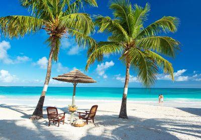 Relax In St. Lucia. Enjoy the Amazing Beaches, Sights and Attractions. We're here 2 RT your tweets. Follow me & we follow back.