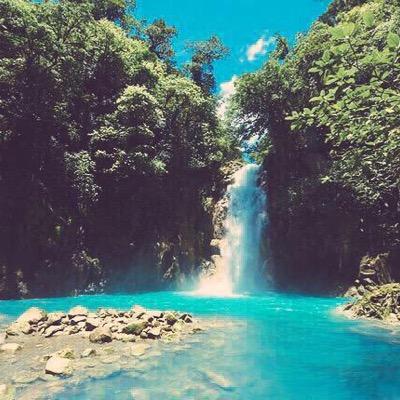 picoftheday7's profile picture. 