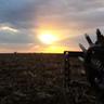 FarmerGC79's profile picture. Curtis Family Farms, Curtis Land Improvement, married to a wonderful woman, father of 1, SIUC Alumni
