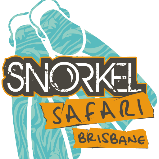 SnorkelSafariBr's profile picture. 