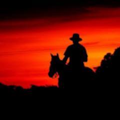 refranesllanero's profile picture. caballos,Alpargatas,Sombreros, Pasión llanera