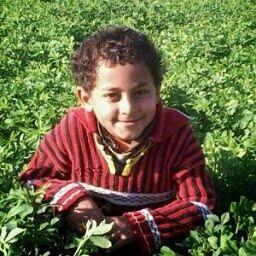 aaaa55661140's profile picture. ابوتايب