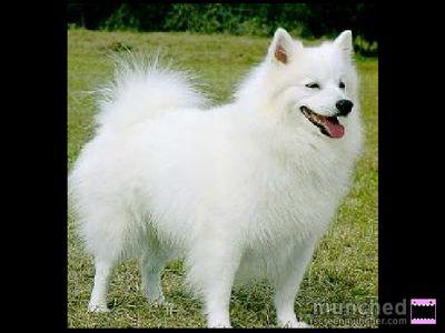 PrinceStanamy's profile picture. ..... Am a replica of change... Am Me 4 good ..