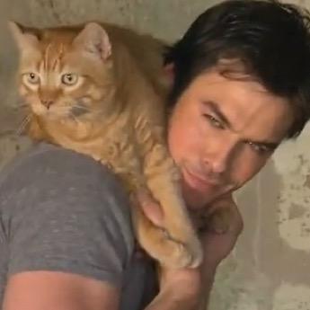 Let's have some fun with @iansomerhalder and animals!