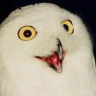 excuseoftheday's profile picture. It's not your fault.