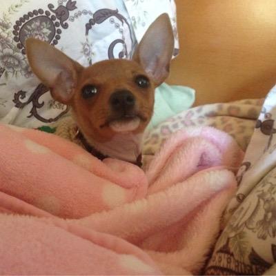 leet_julie's profile picture. A Jesus' Course In Miracles Follower (similar to (ACIM)) and also a Reiki Master.I am able to hear your Angels, Spirit Guides and Loved Ones.