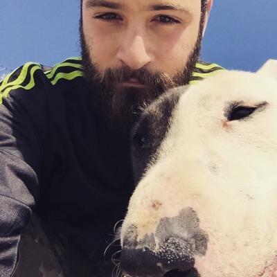 totoasso's profile picture. 