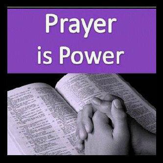 saveourfuture15's profile picture. Easy going, patience but not passive.