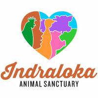 Indraloka Animal Sanctuary(@IndralokaAS) 's Twitter Profile Photo