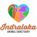 Indraloka Animal Sanctuary (@indralokaas) Twitter profile photo Indraloka Animal Sanctuary (@indralokaas) Twitter profile photo