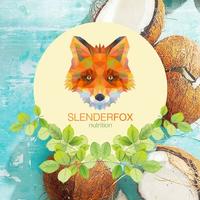The Slender Fox (@theslenderfox) 's Twitter Profile